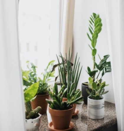 Air exchangers: Give yourself the gift of clean air!